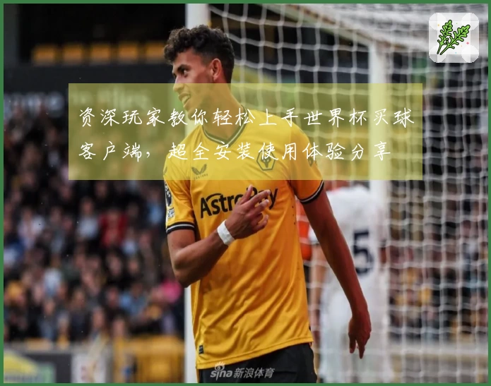 资深玩家教你轻松上手世界杯买球客户端，超全安装使用体验分享