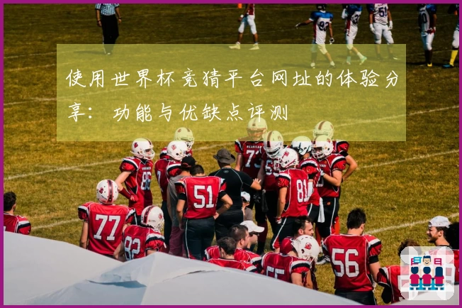 使用世界杯竞猜平台网址的体验分享：功能与优缺点评测