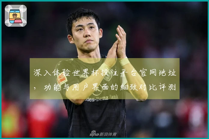 深入体验世界杯投注平台官网地址，功能与用户界面的细致对比评测
