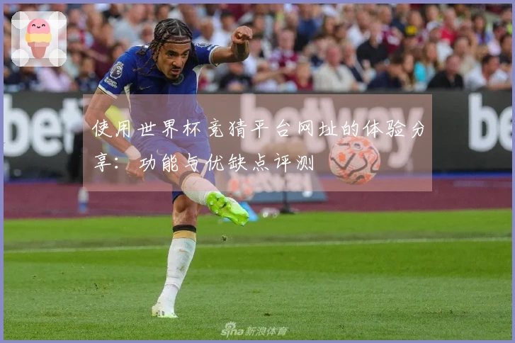 使用世界杯竞猜平台网址的体验分享：功能与优缺点评测