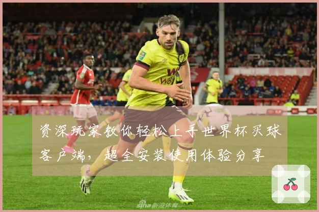 资深玩家教你轻松上手世界杯买球客户端，超全安装使用体验分享