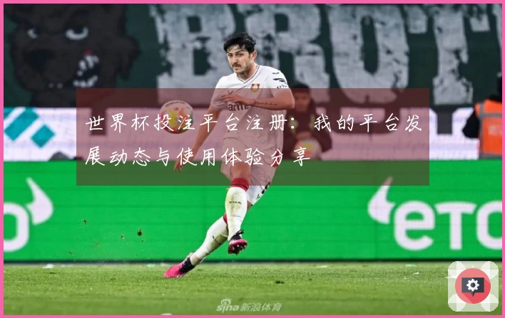 世界杯投注平台注册：我的平台发展动态与使用体验分享